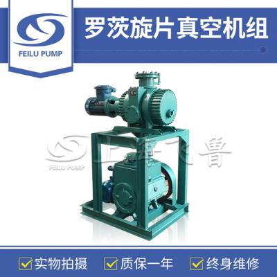 環(huán)氧樹(shù)脂真空澆注用羅茨旋片真空機(jī)組